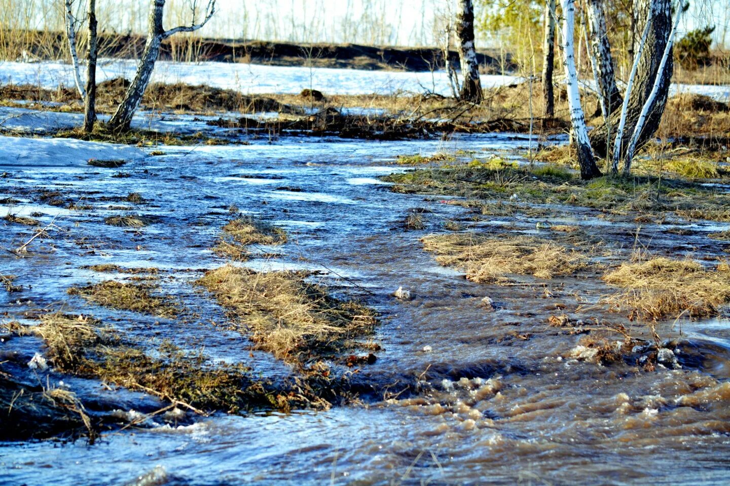 Весной весело журчат ручьи. Кустанович весенний ручей. Б.Щербаков «Журчат ручьи весенние». Весенний Ручеек.