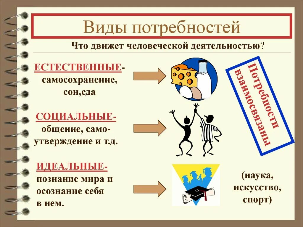 Виды потребностей. Виды потребностей человека. Виды потребностей и примеры. Потребности человека Обществознание. Самосохранение какая потребность