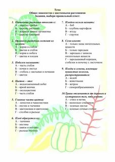 Тест растение цветка