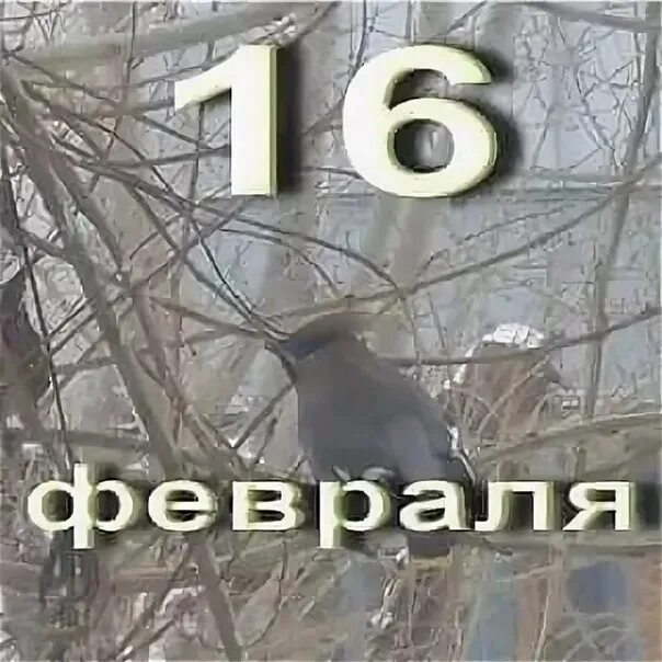 Российский хоккей на олимпиаде 2022. Тележка bc340kd 480. 16 02 2016. Значок 16 +. Памятные даты истории россии 16 февраля.