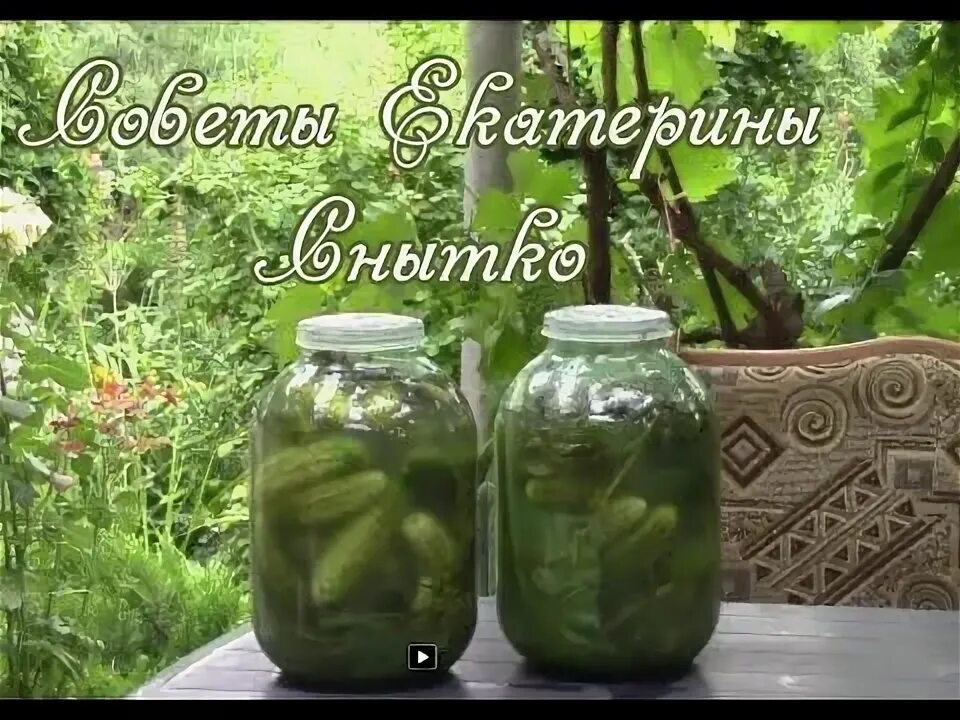 Можно ли закрывать на зиму горькие огурцы. Можно ли закрывать на зиму горькие огурцы