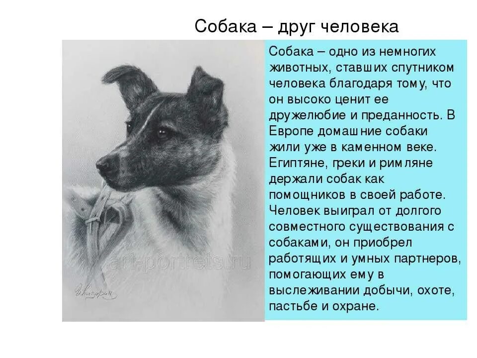 Сочинение любите собак не давайте их никому. Собака друг человека сочтне. собака друг человека сочинение. сочинение на тему собака. маленький рассказ про собаку.