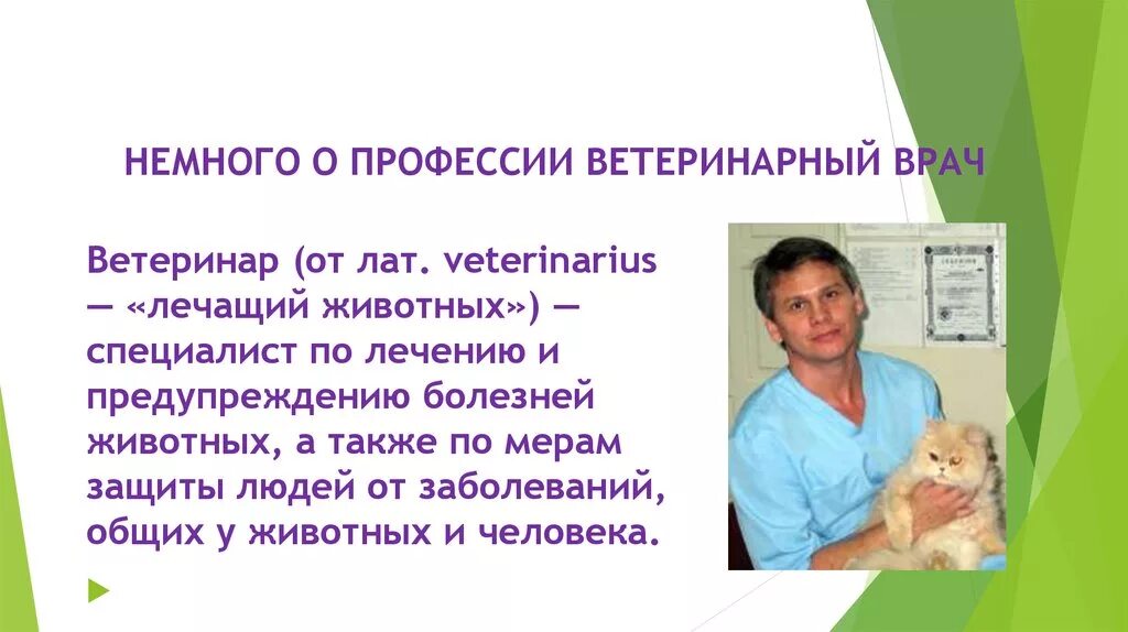 Ветеринар доклад. Профессия ветеринар. Профессия ветеринар описание. Проект профессия ветеринар. Проект на тему ветеринар.