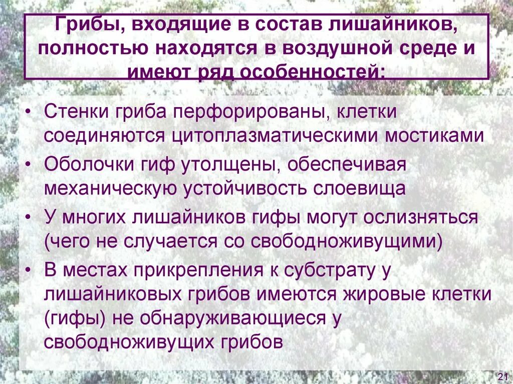 Грибы входят в состав лишайников