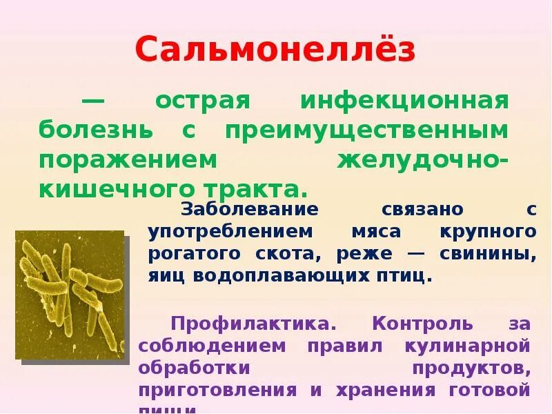 Симптомы сальмонеллеза