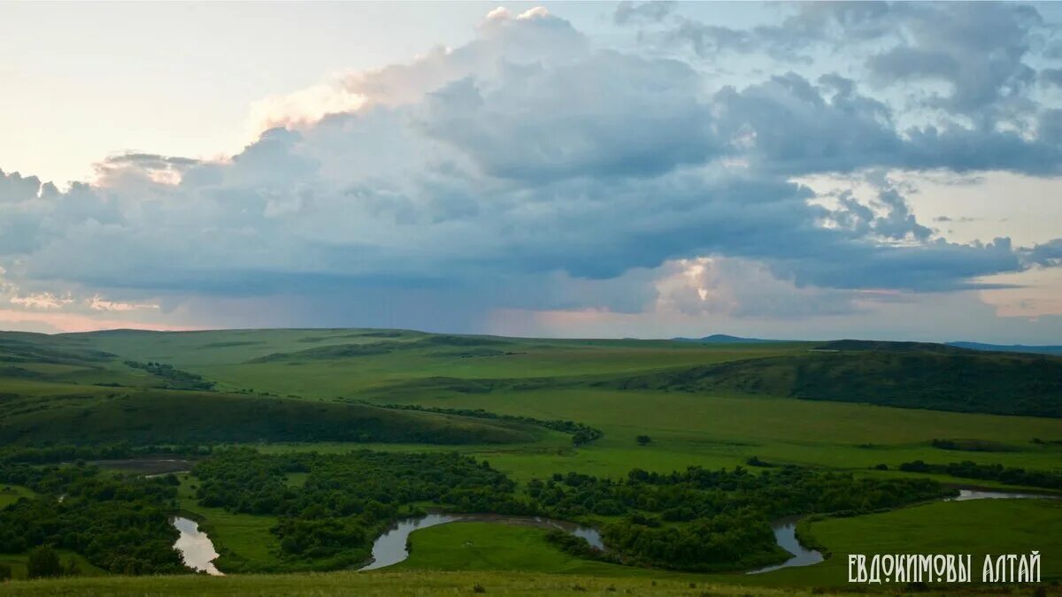 Село Усть Козлуха Алтайский край. Усть-Козлуха Краснощековского района. Краснощёковский район Алтайский край. Усть белое Краснощековский район Алтайский край река.