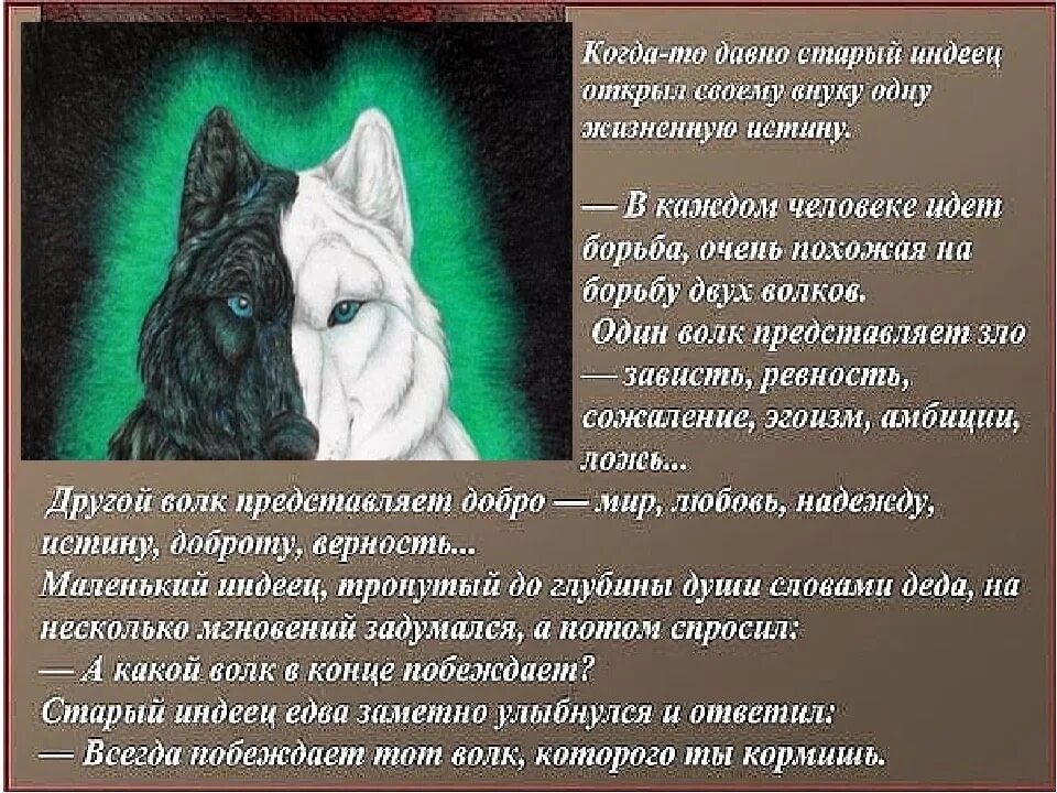 Демотиватор хомячок. А ты чем кормишь. А ты чем кормишь. Не верь коту. Притча о двух волках.