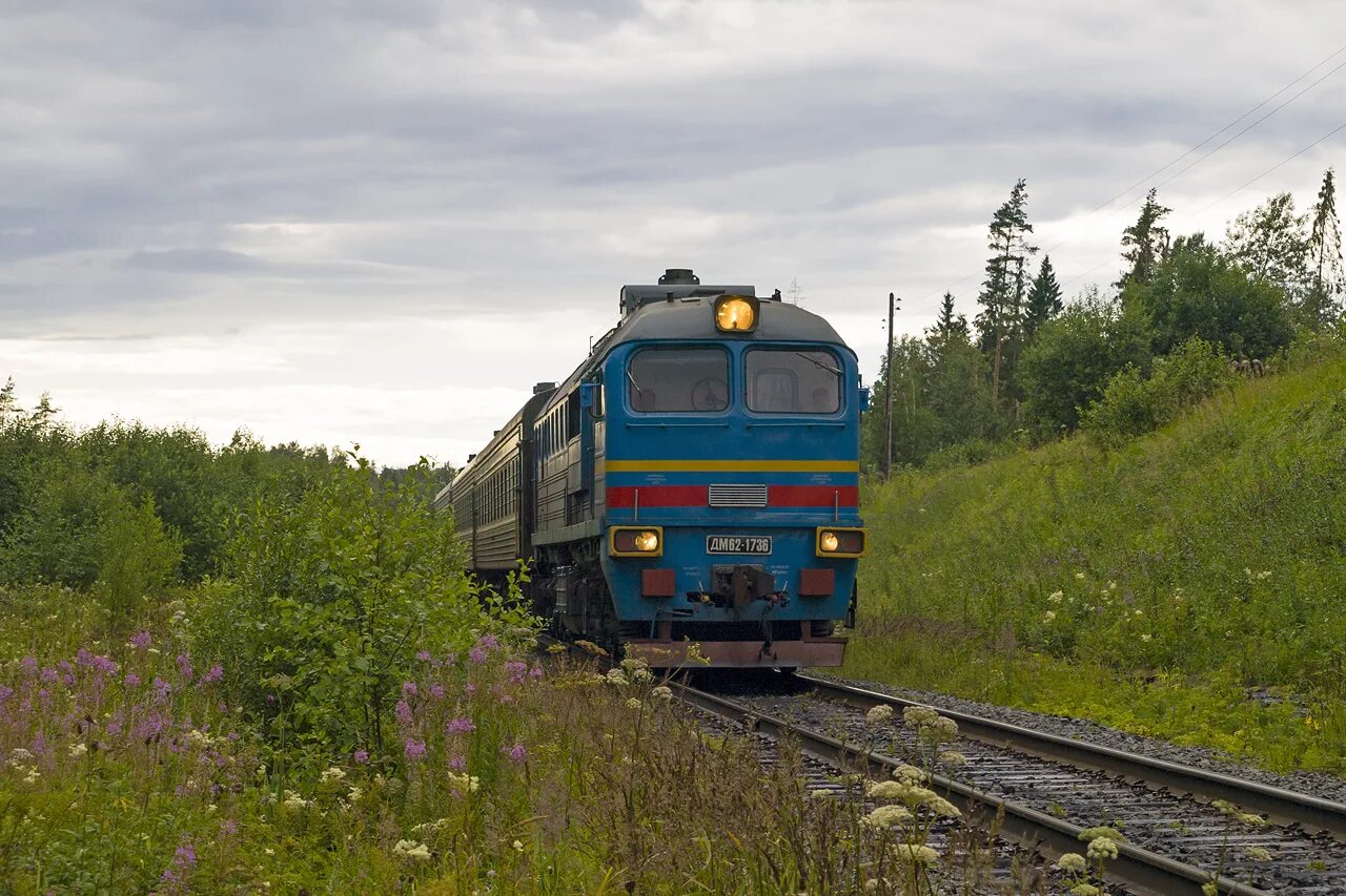 Дм62 1736. Поезд Будогощь Неболчи. Дм62-1750. Водогон станция ЖД.