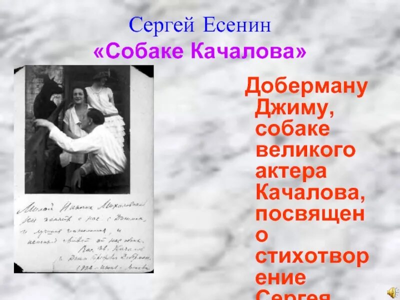 Анализ стихотворения есенина собака. Есенин собаке Качалова стих. Стихотворение Есенина собаке Качалова. Стихотворение Сергея Есенина «собаке Качалова»..