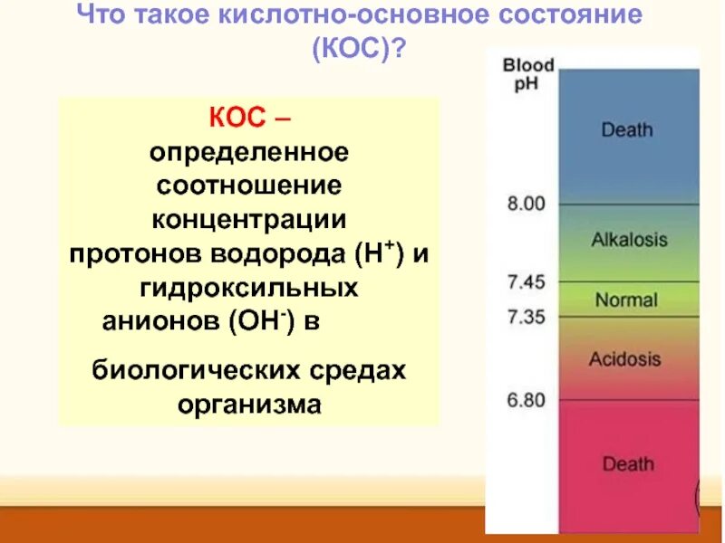 Нарушение кислотно основного