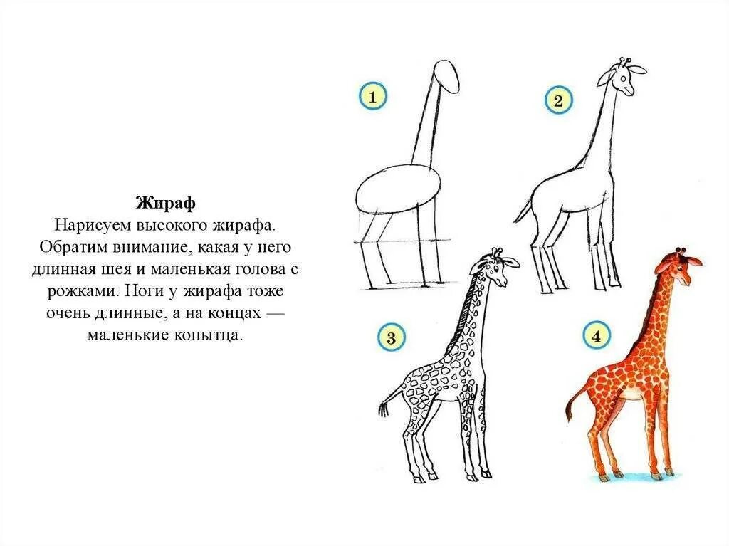 Жираф поэтапно для детей. Рисунок жирафа. Жираф для рисования детям. Рисование жирафа с детьми. Жираф поэтапное рисование.