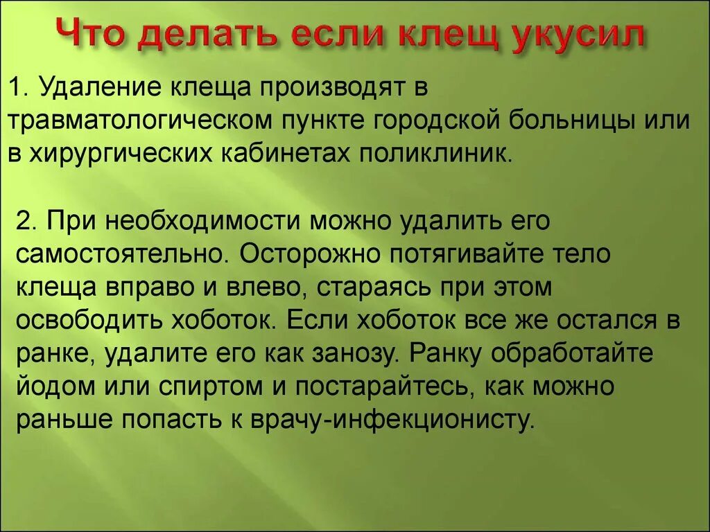 Факты о лесных опасностях. Лесные опасности вывод. Опасности в лесу интересные факты. План выступления Лесные опасности 2.