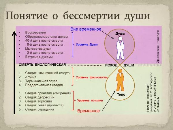 Душа сколько длится. Уровни развития души. Уровни развития души человека. Стадии развития души. Уровни духовного развития.