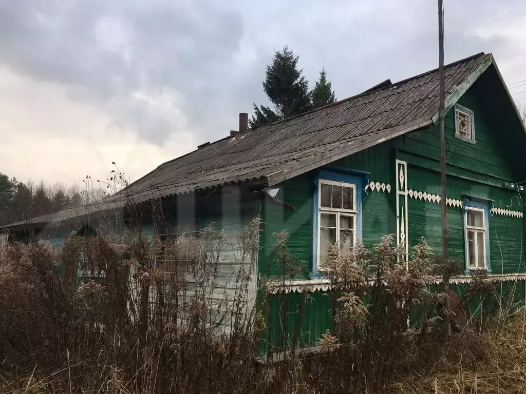 Деревня ручьевая псковская область. Апарино псковская область деревня. Жабенец деревня псковская область. Тригорье псковская область. Павлово псковская область.