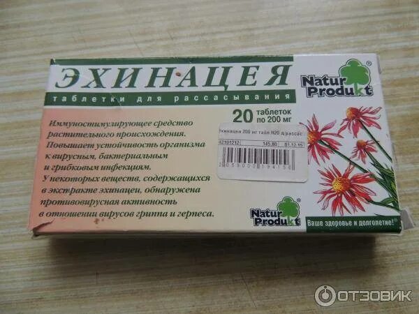 Недорогие препараты для повышения иммунитета. Препараты для иммунитета. таблетки для иммунитета взрослым. таблетки рассасывание для повышения иммунитета. для иммунитета таблетки взрослым эффективные недорогие.