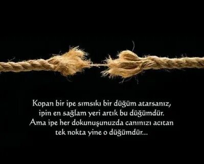 Pis dost