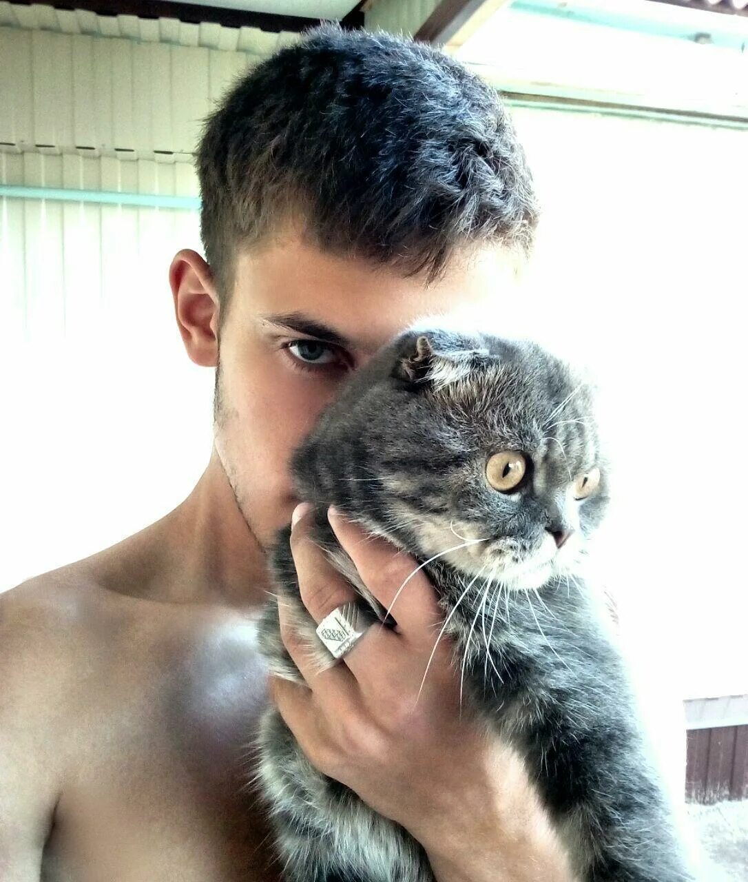 Алексею котову. Алексею котову