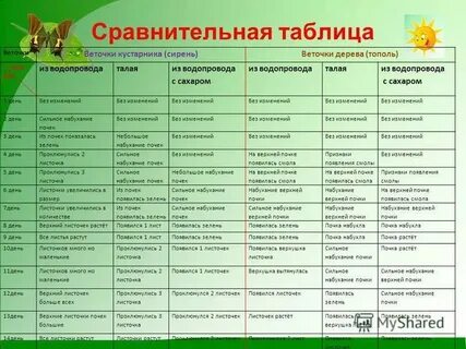Осень в жизни растений биология