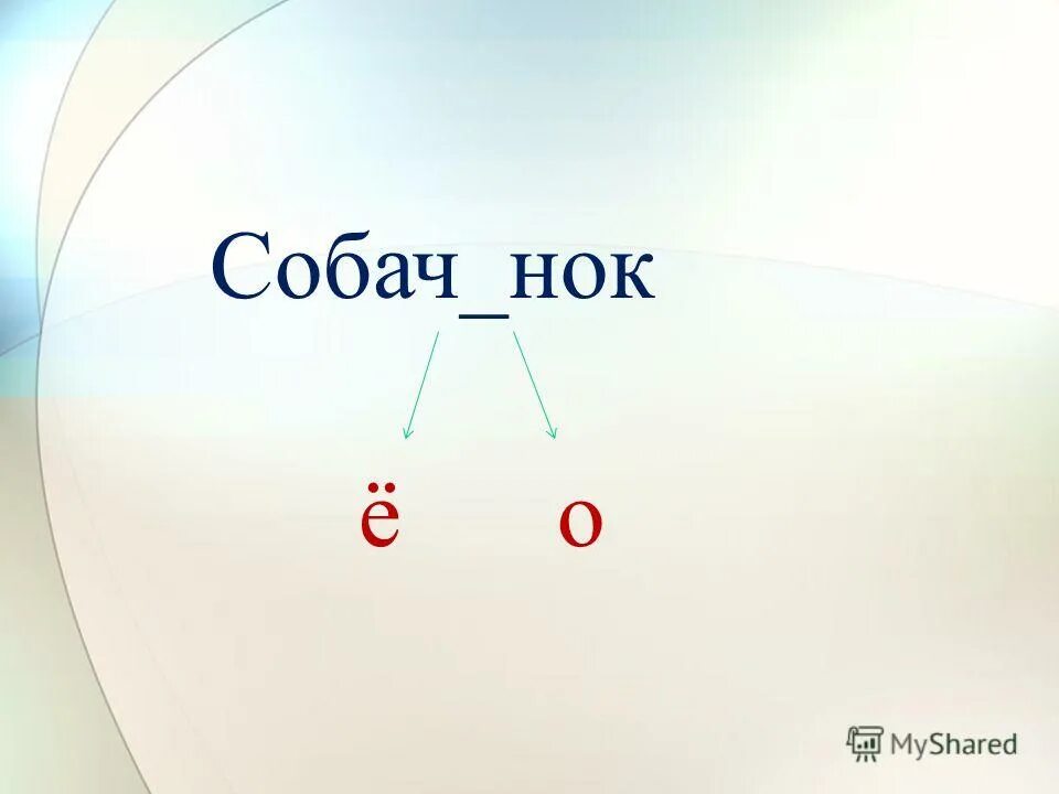 слово верблюд с суффиксом онок