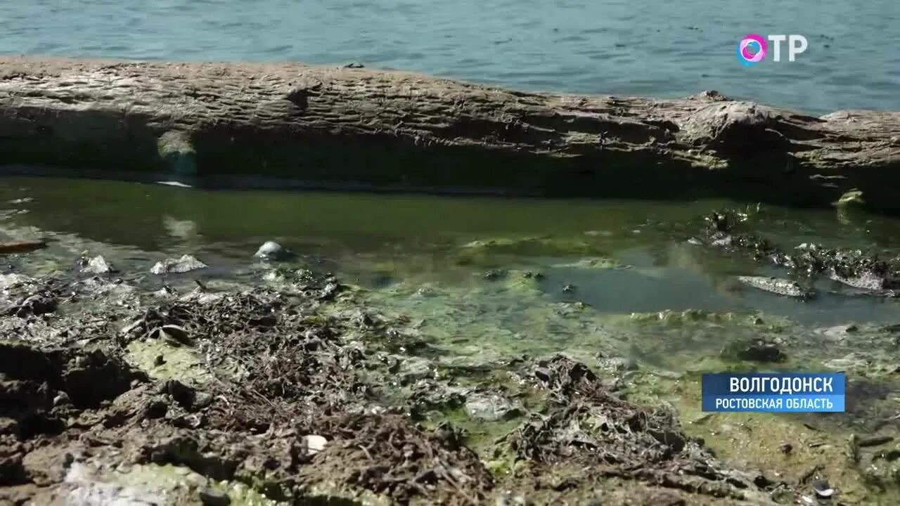 Цимлянское водохранилище высохло. Уровёнь воды вцимлянскомводохранилише. Цимлянское водохранилище под водой. Под водой Цимлянского водохранилища. Цимлянское водохранилище уровень воды на сегодня