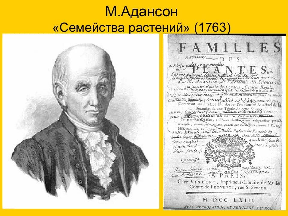 Биология в эпоху возрождения. Адансон. Адансон растение. Эпоха Возрождения биология. Мишеля Адансона.