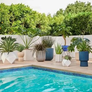 Plant pool