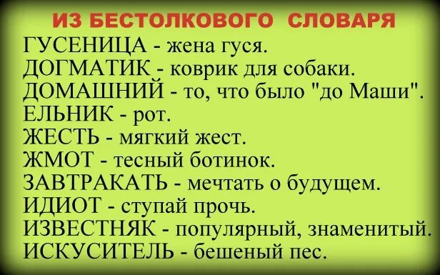 Бестолковый словарь. Бестолковый словарь словарь. Бестолковый словарь русского языка. Самый бестолковый словарь. Бестолковый почему