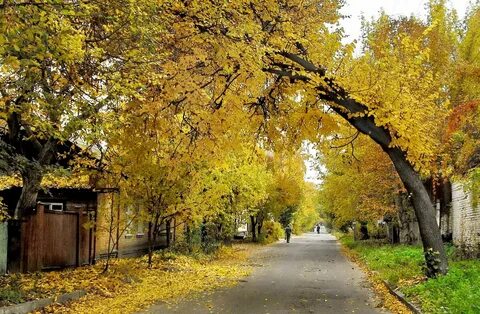 Фото улицы осенью