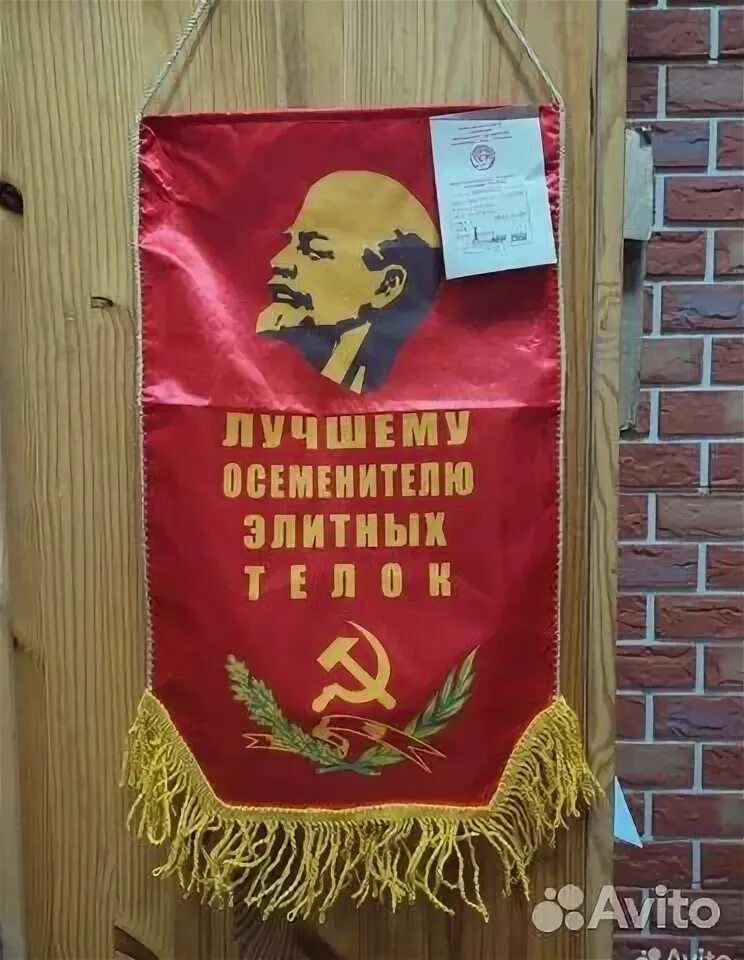 Осеменитель и жизнь с загипнотизированной. Осеменитель и жизнь с загипнотизированной
