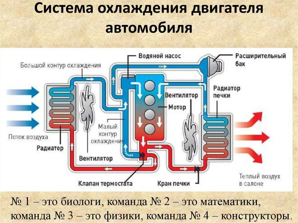 В течении периода охлаждения