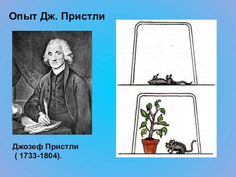 Благодаря опыту работы