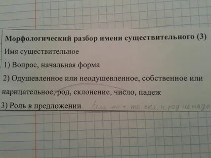 Том 3 морфологический