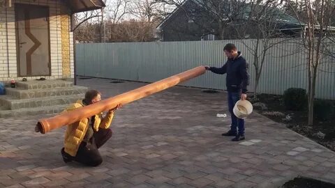 Базука ноябрьск