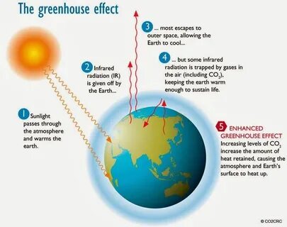 Greenhouse warming
