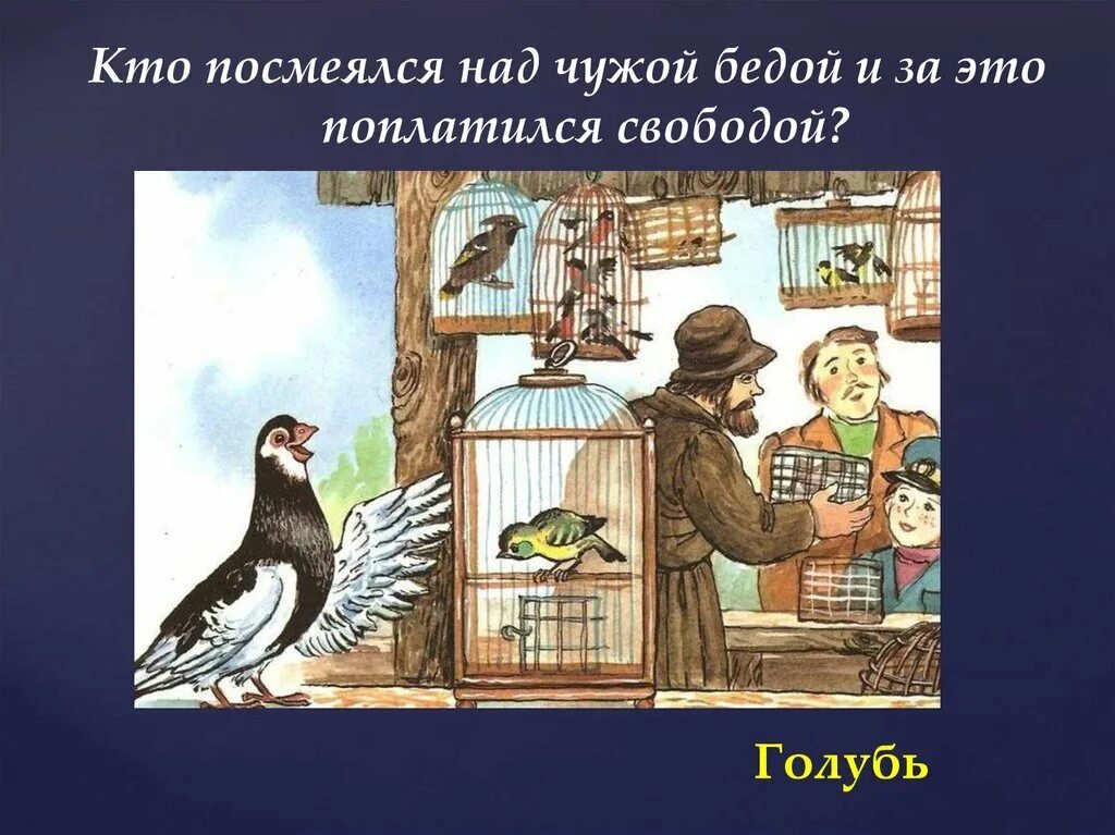 Иллюстрация к басне Чиж и голубь. Иллюстрация к басне Крылова Чиж и голубь. Басня Крылова про Чижа. Басня крылова чижа захлопнула злодейка западня бедняжка