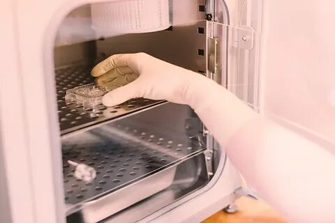 Контейнер для эмбрионов