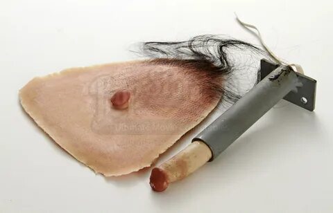 sakman.net Ken Jeong Penis.