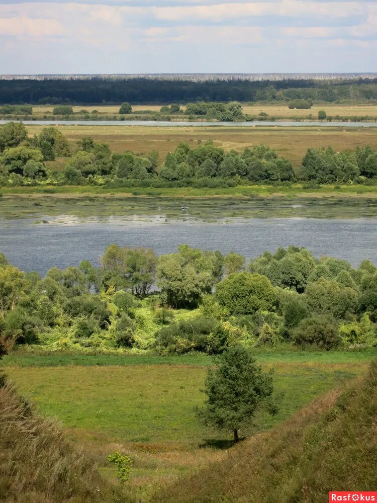 Просторы рязани. Константиново просторы. Константиново Рязань река. Константиново Рязань поля. Константиново (Рыбновский район).