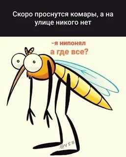 Прикольные картинки про комаров - Фотобанк