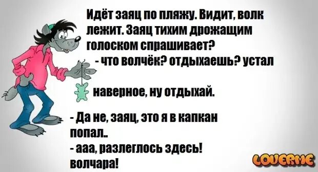 Анекдот про зайца и волка. Смешные анекдоты про волка и зайца. Заяц волк заяц волк заяц волк. Ну погоди анекдоты. Анекдот лиса волка