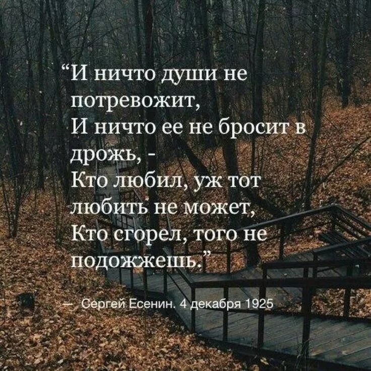 Кто сгорел того не подожжешь стих. Кто сгорел того не подожжешь. грустные стихи и цитаты. и ничто души не потревожит.