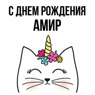 С днем рождения амир