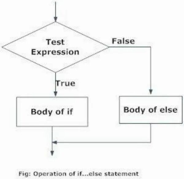 Блок схема if Python. Блок схема if else. Блок схема условного оператора питон. If else Python блок схема.