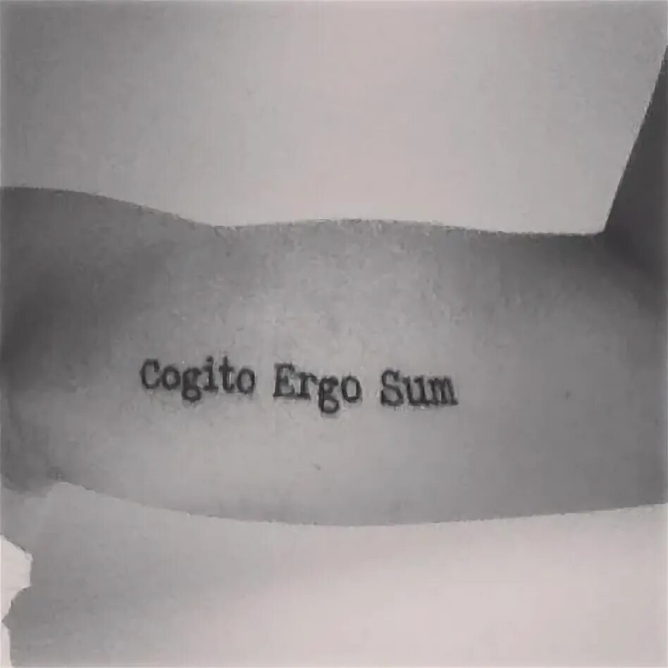 Debes ergo potes. Cogito ergo sum татуировка. эскизы cogito ergo sum. cogito ergo sum тату для девушки. cogito ergo sum тату эскизы.