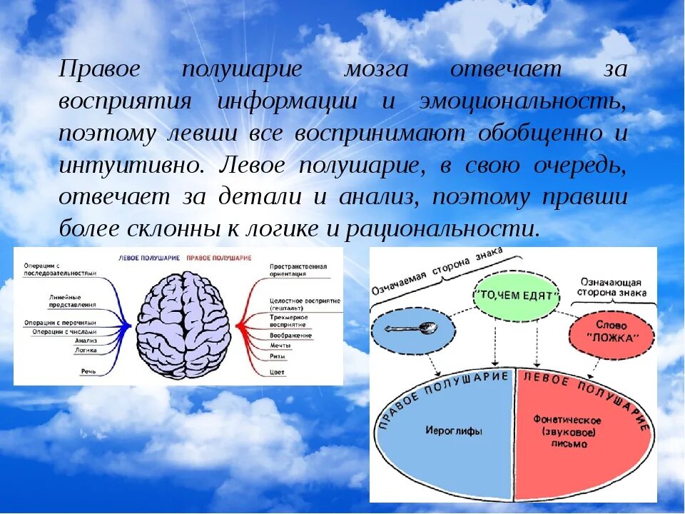 Правом полушарии. Полушария мозга. Правое полушарие. Развитое правое полушарие. Левое полушарие.