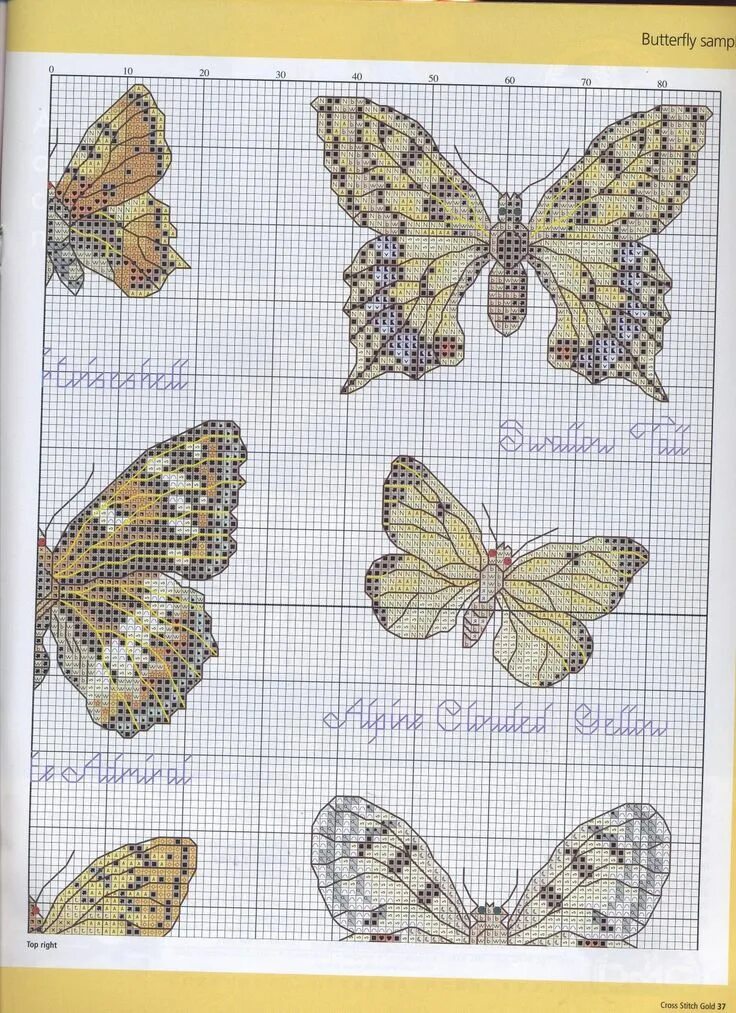 Fetching butterflies pixwox