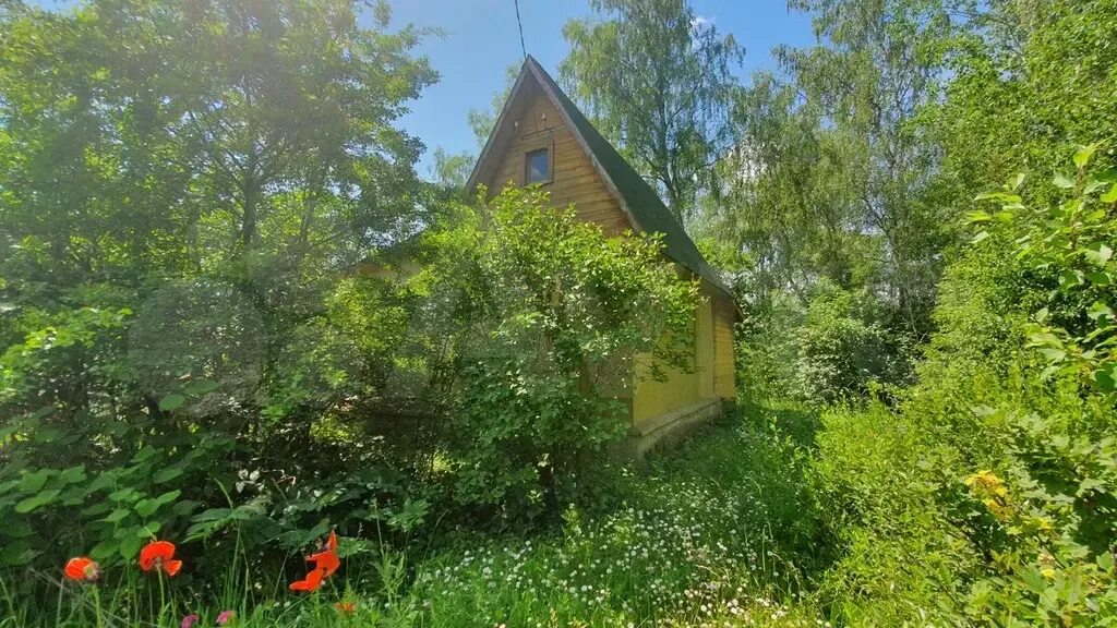 Снт василек фото. Снт василек екатеринбург. Снт василёк молоди. Снт василёк тульская область. Участок снт васильки.