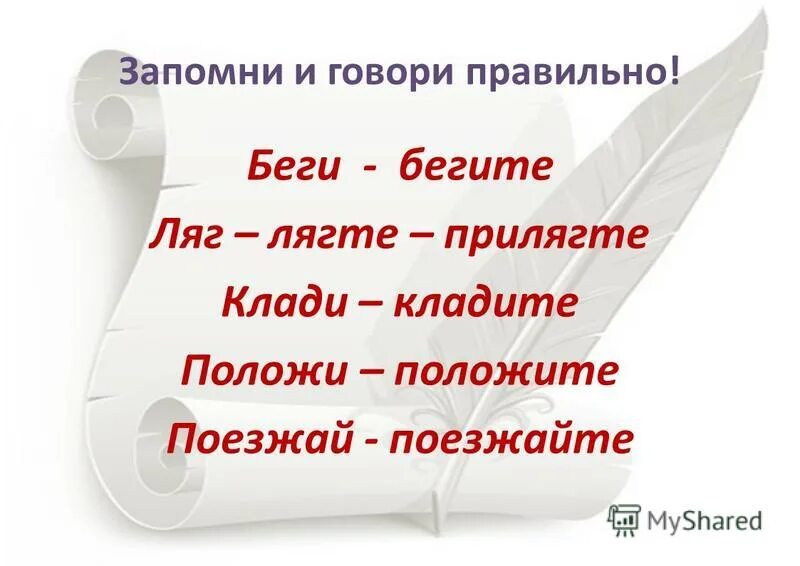 Скажи положи. Как правильно говорить положи. Как правильно говорить положи или поклади. Положить как правильно говорить. Клади или положи как правильно.