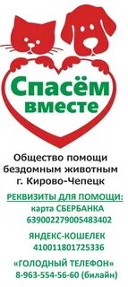 Помощь животным примеры