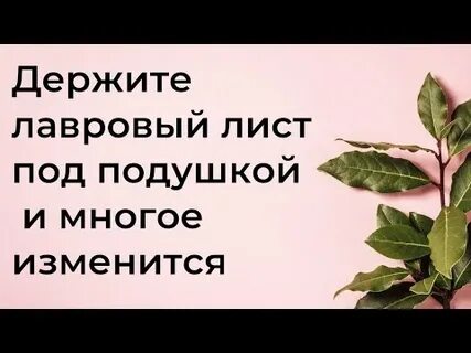 Лавровый лист под подушку